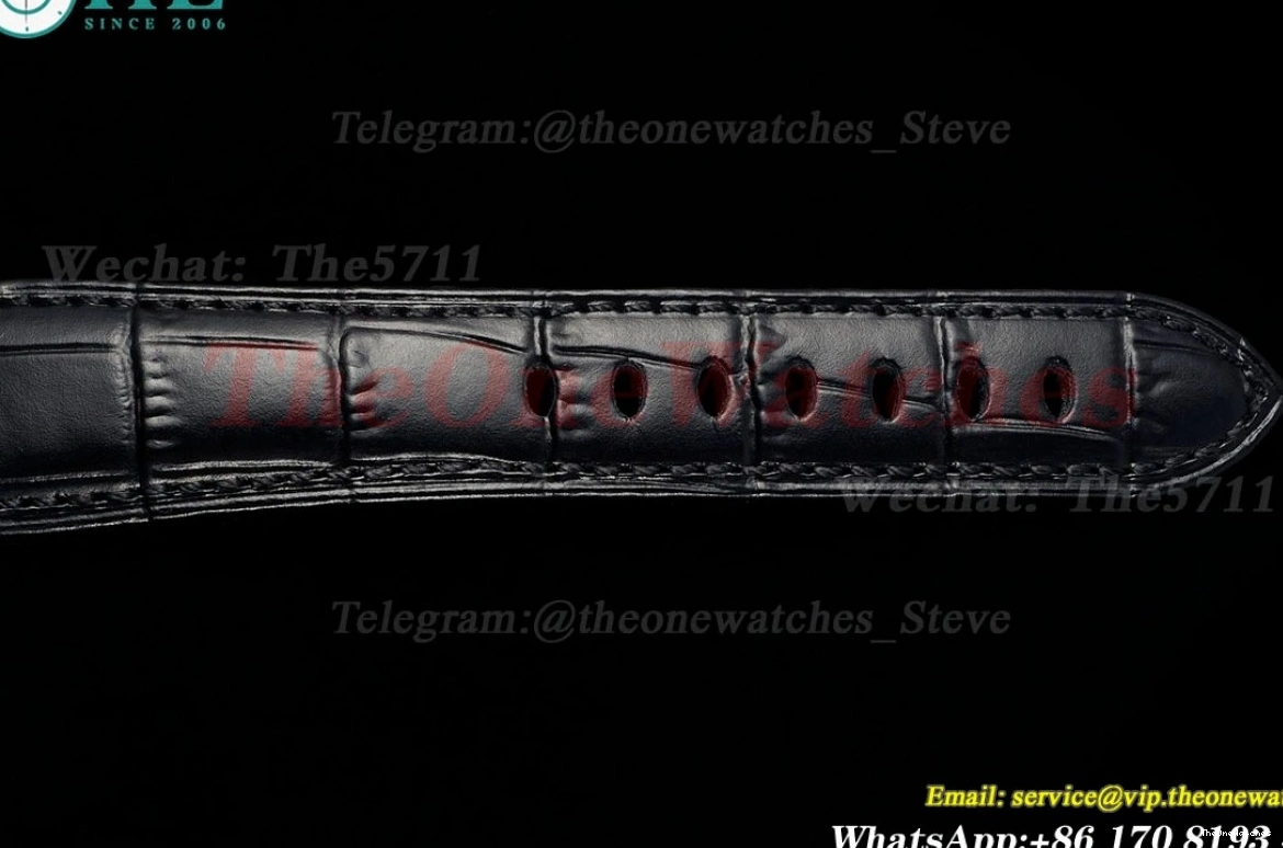 PAM1250 Grey Luminor LE P900 Dial Due VSF 42mm SS 1225